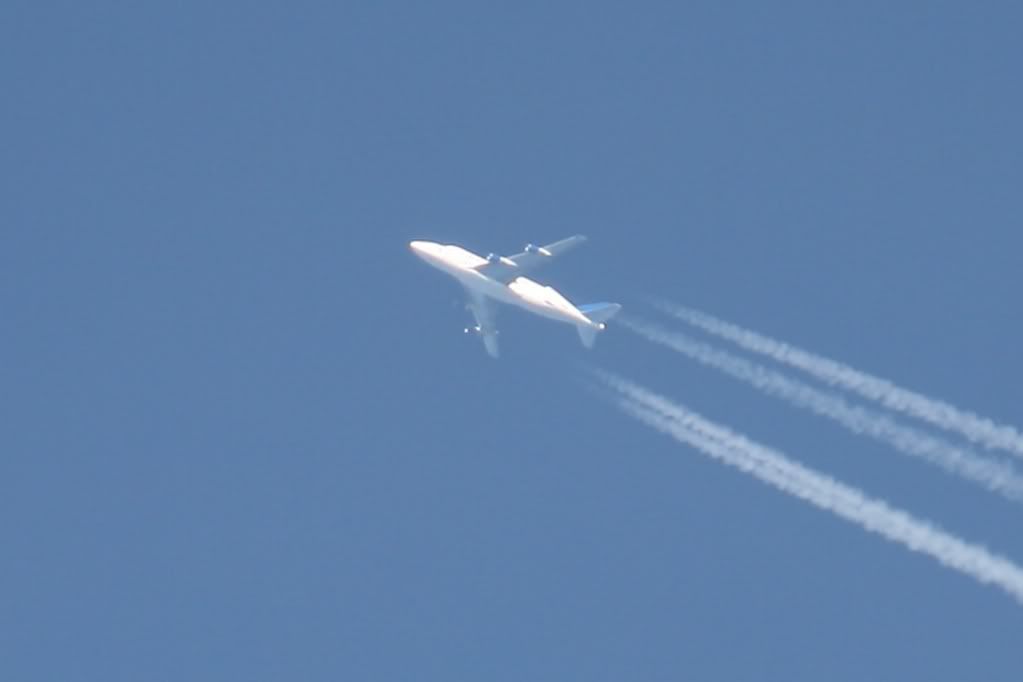 Dreamlifter.jpg