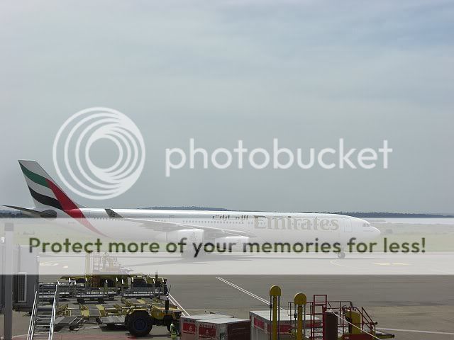CIMG3280-1.jpg