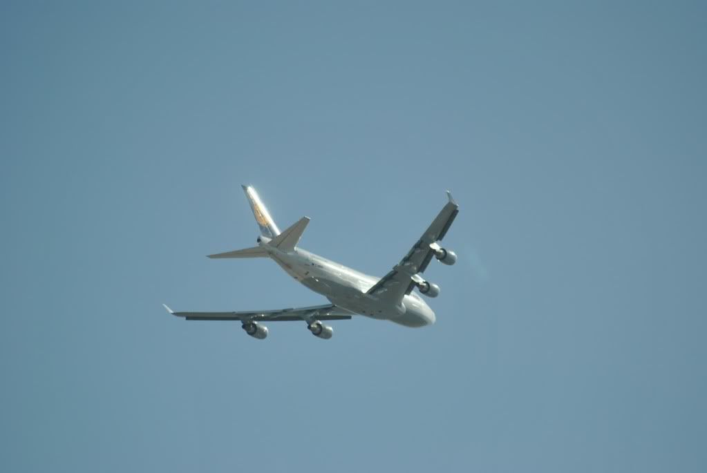 DSC_0219.jpg