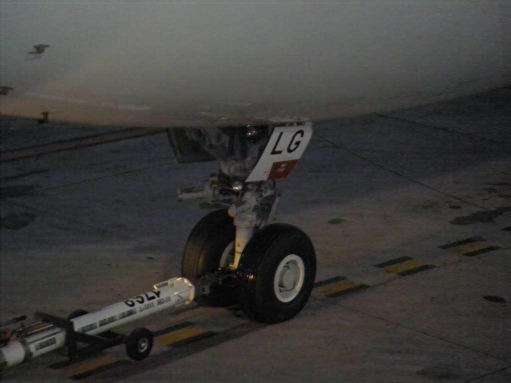 DSCN1012.jpg