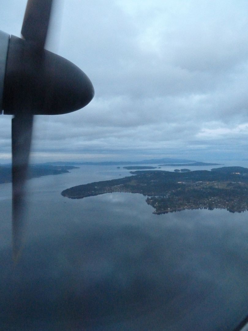 P1020087.jpg