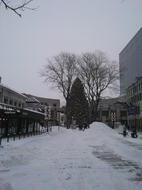 20122009006.jpg