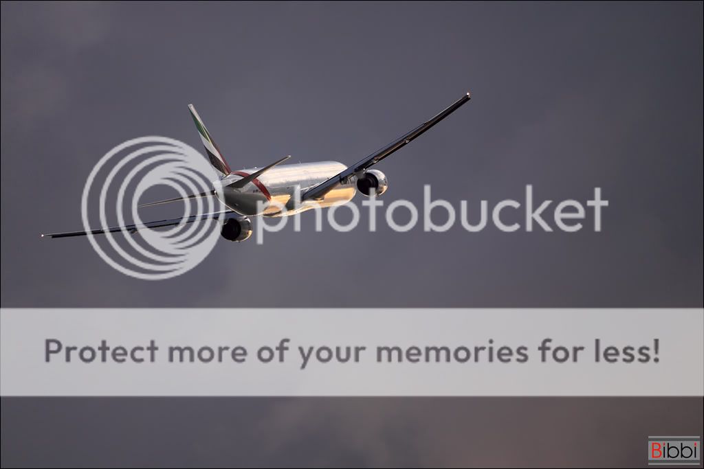013_emirates__bibbi.jpg