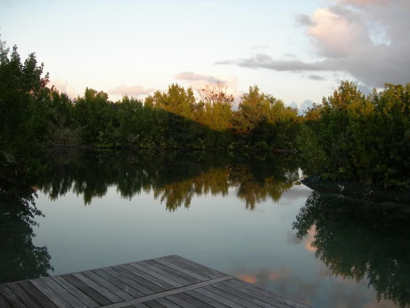 DSCN0319.jpg