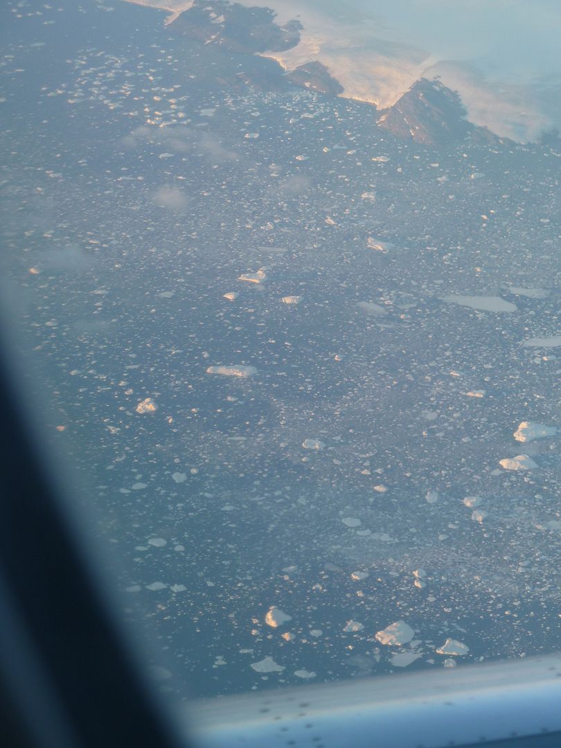 P1010530.jpg