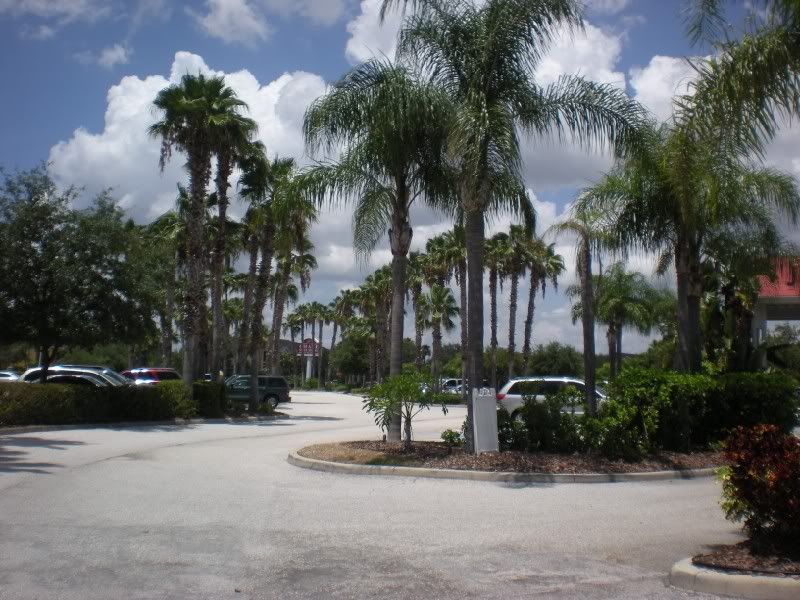 DSCN5272.jpg
