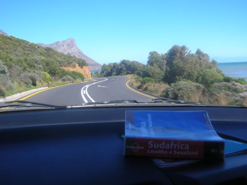 DSCN5330.jpg