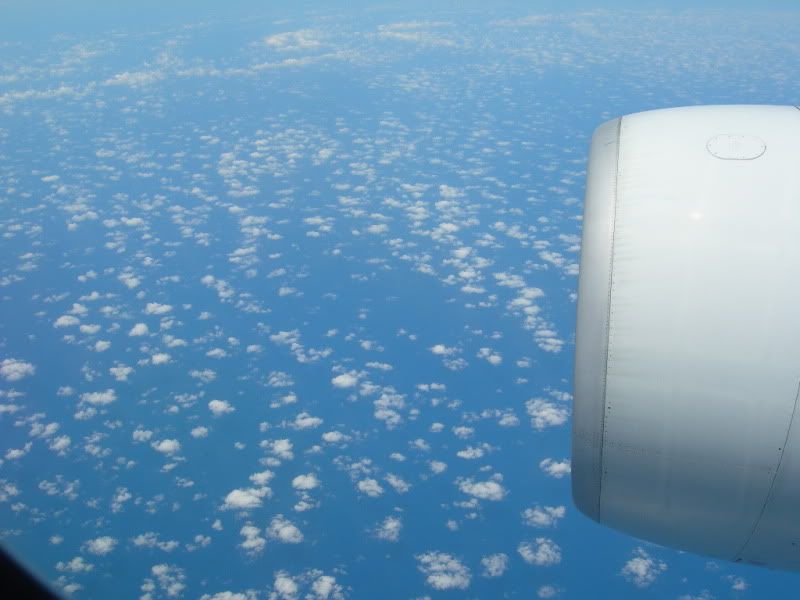 DSCN0221.jpg