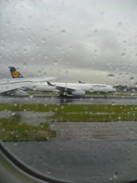 P1020145-1.jpg