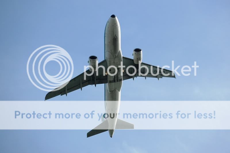 3750A319I-BIMDAZLINcl250408.jpg