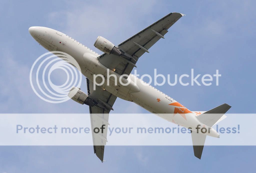 YL-LCA.jpg