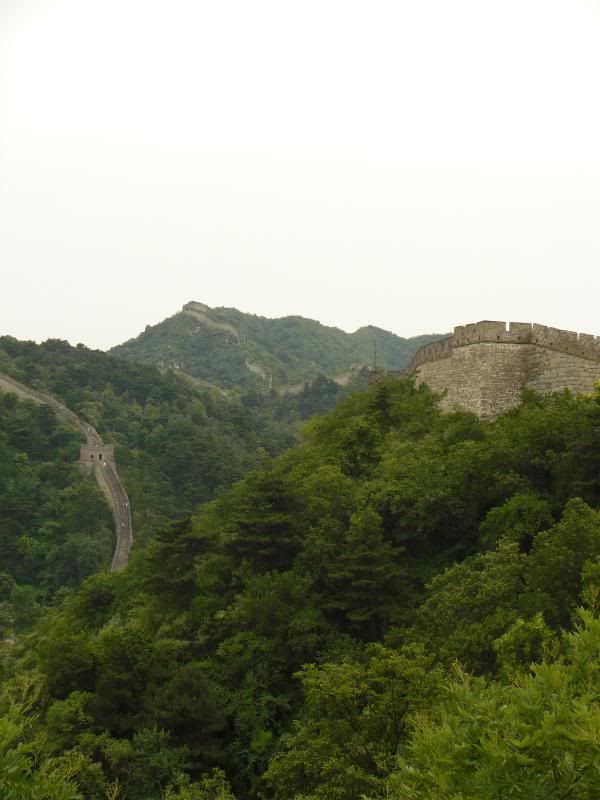 P1010893.jpg