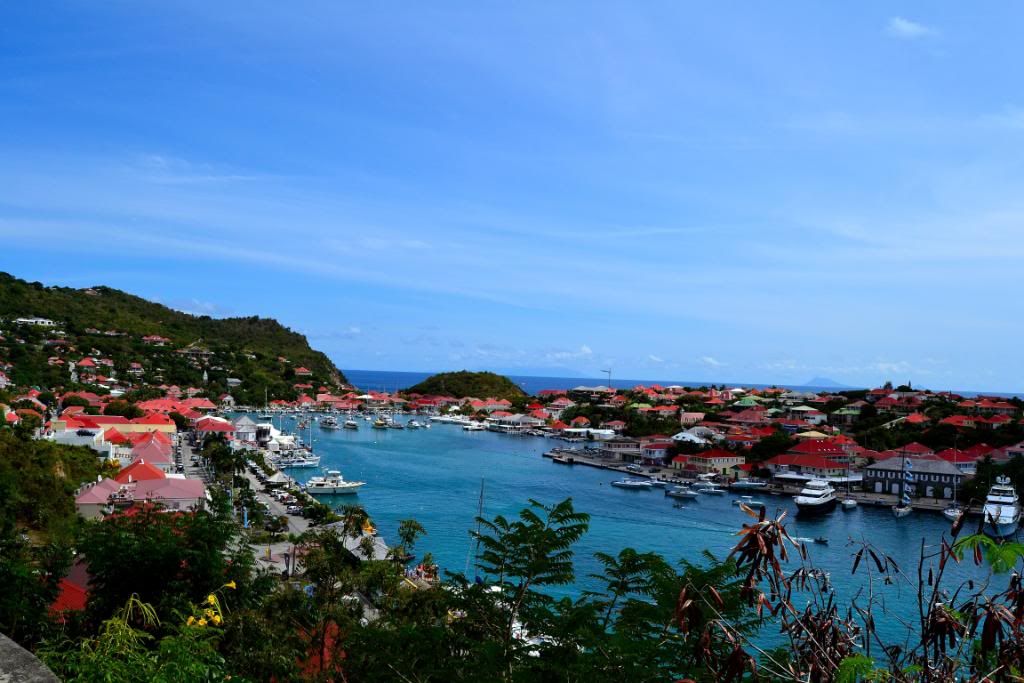 DSC_0367.jpg