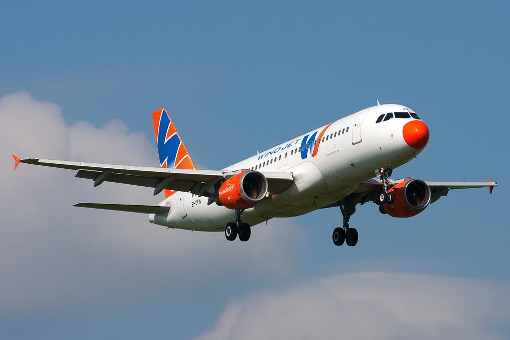 EI-DFN.jpg