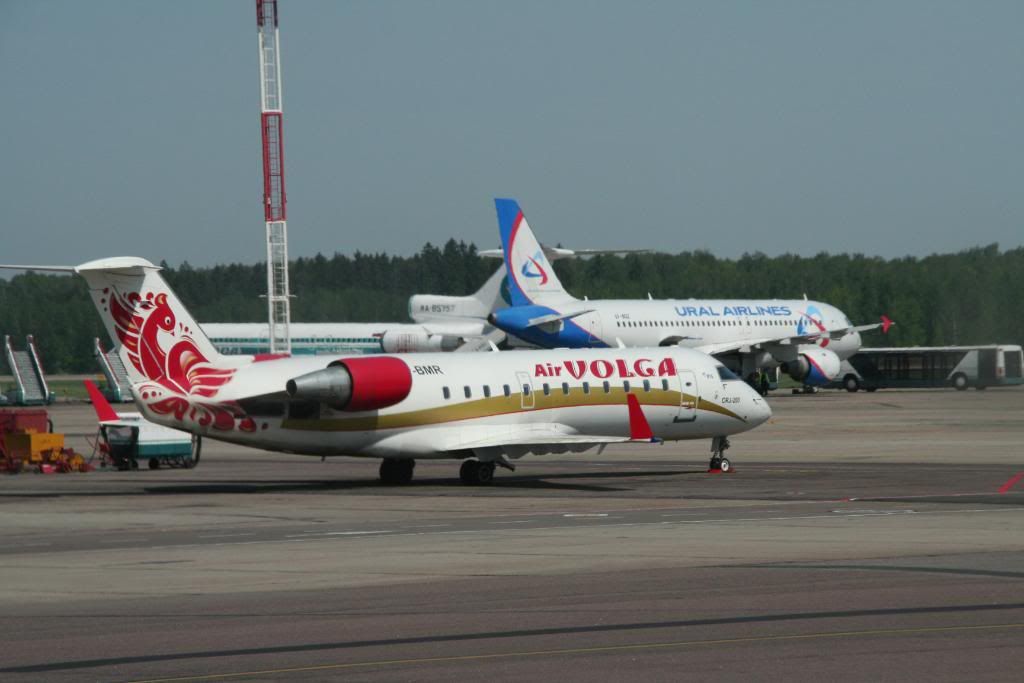 sharm114-1.jpg