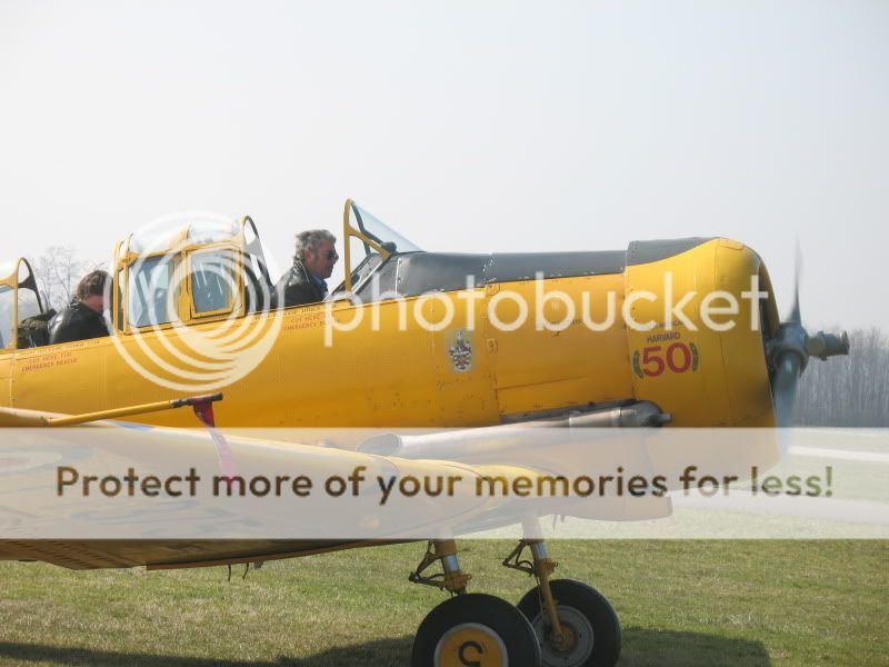 FT375-1.jpg