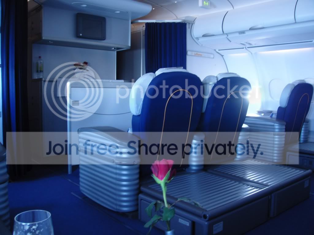 LHF2.jpg