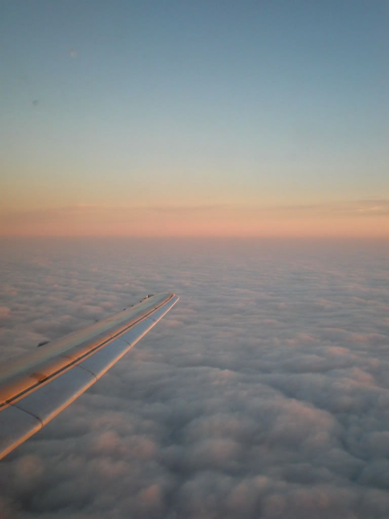 P4190060.jpg