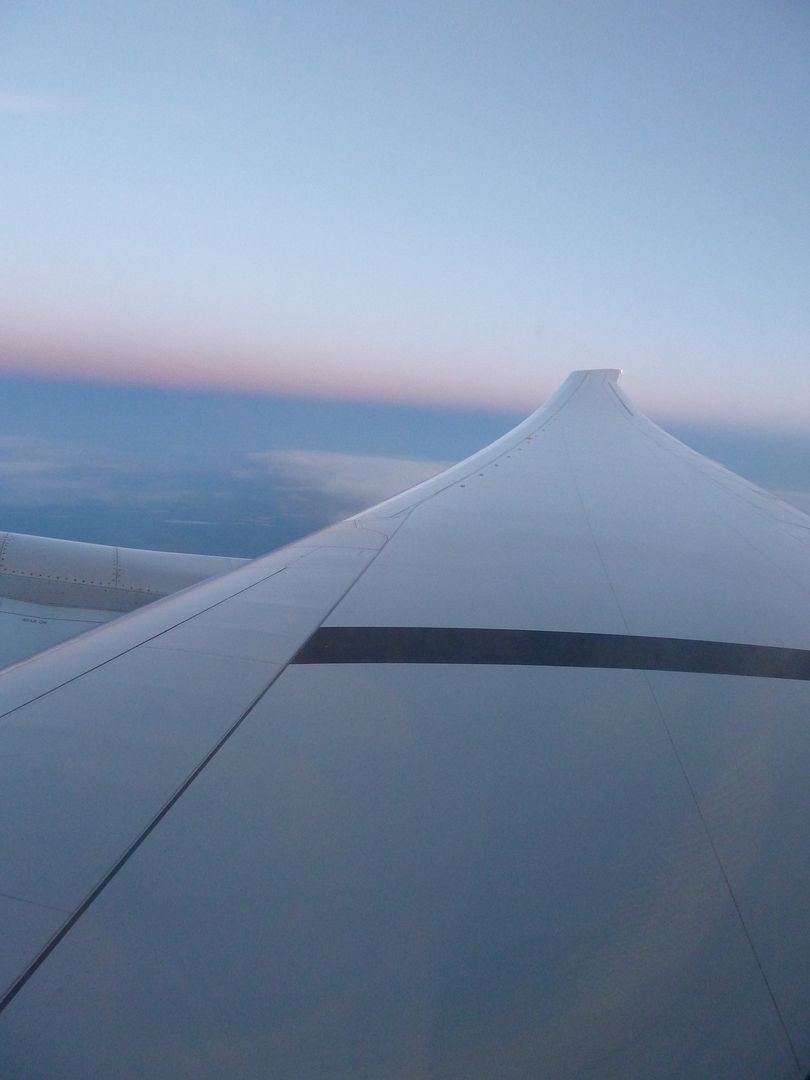 P1010519.jpg