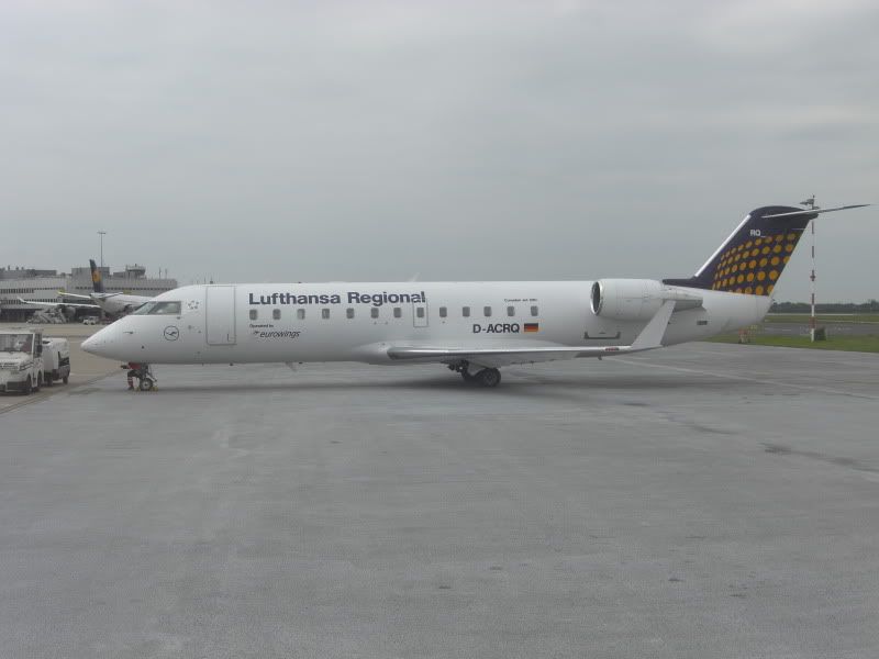 CIMG7508.jpg