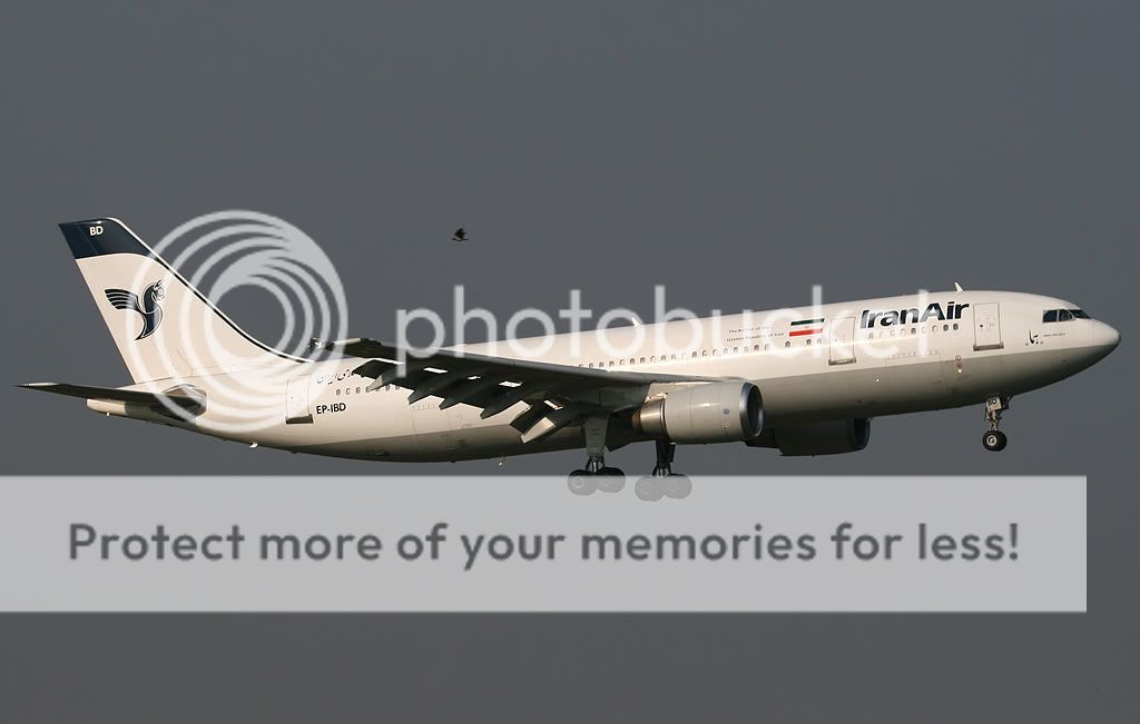 IMG_0976_con.jpg