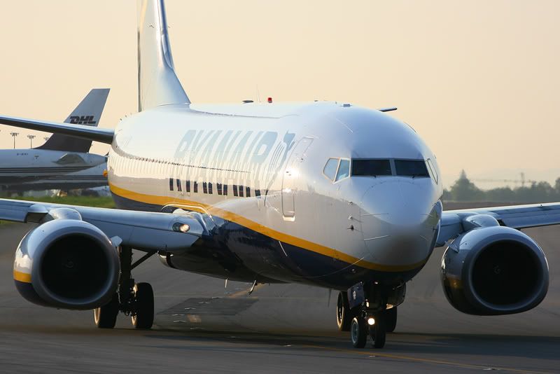 EI-DHP.jpg