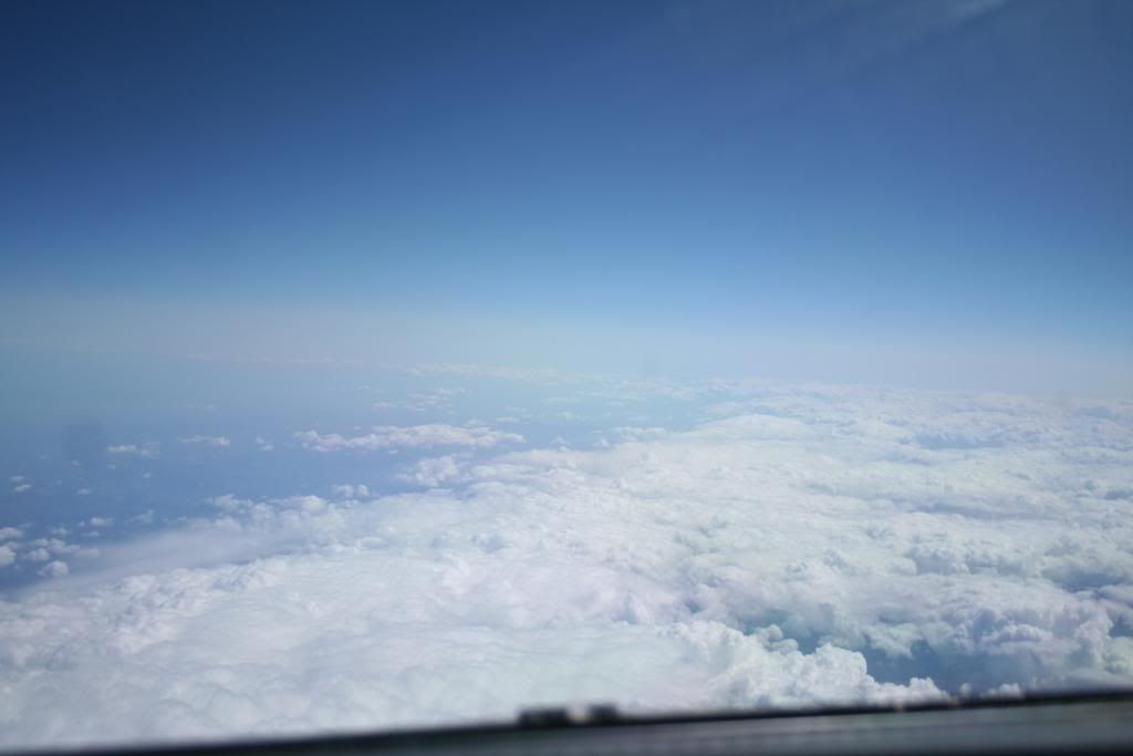 IMG_3370.jpg