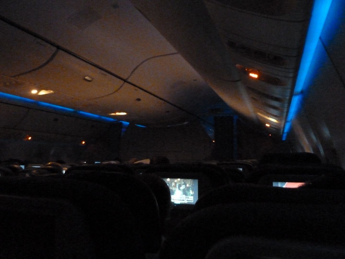 P1010521.jpg