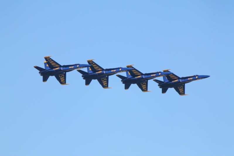 IMG_6804.jpg