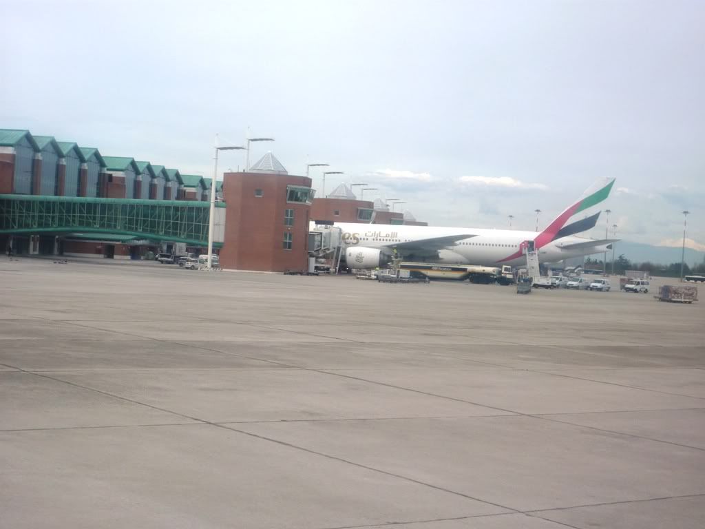P1010722.jpg