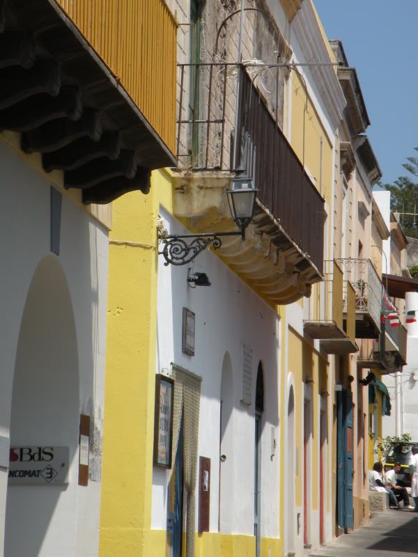 DSCN8126.jpg