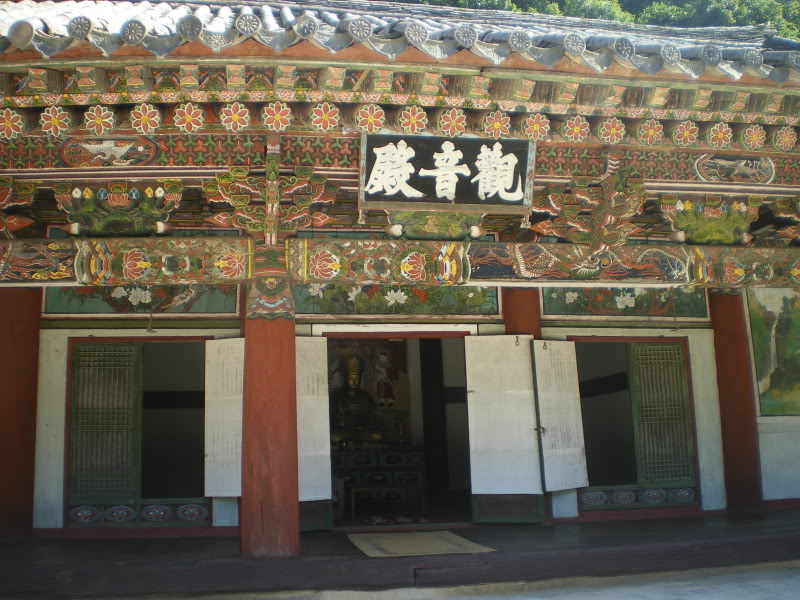 IMGP5785.jpg