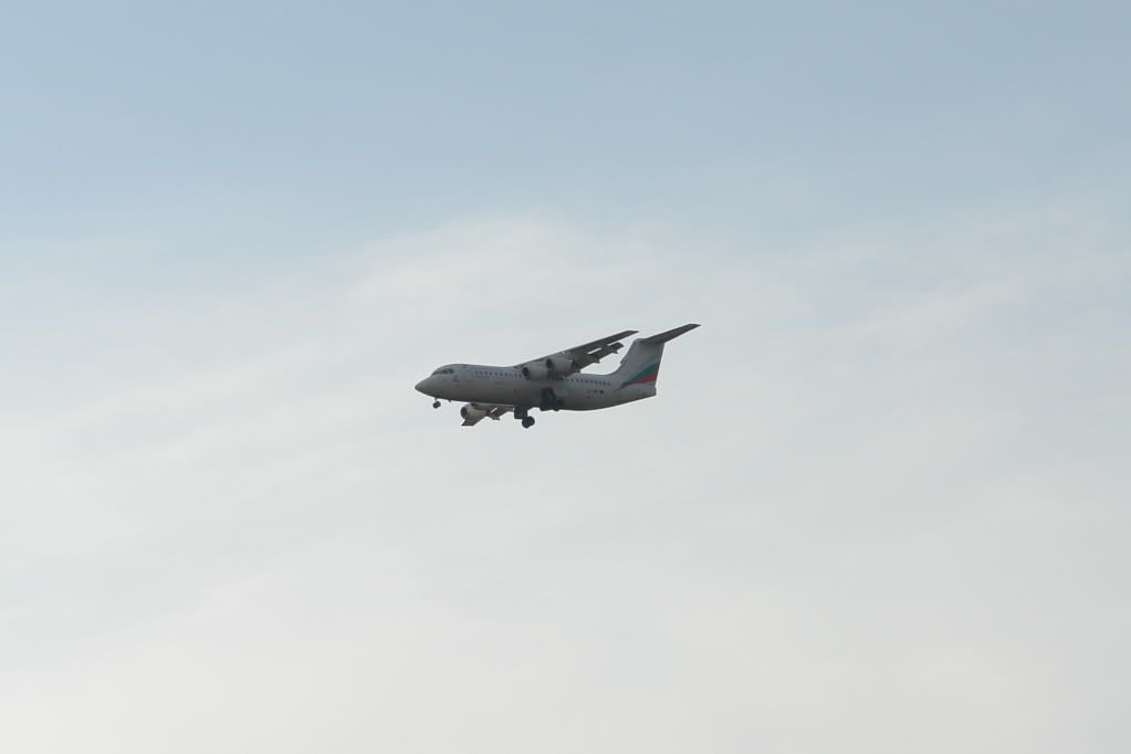 DSC02030.jpg