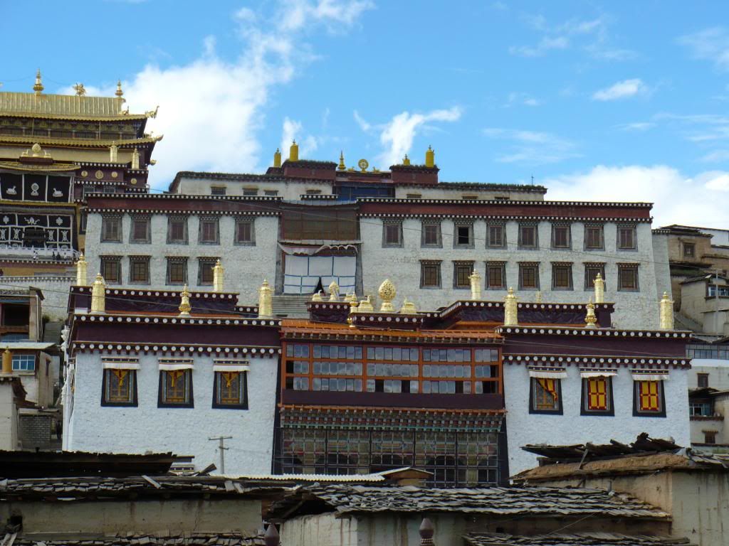 P1010187.jpg