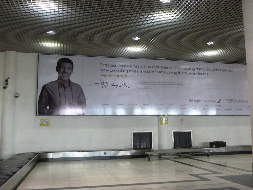 P1190493.jpg