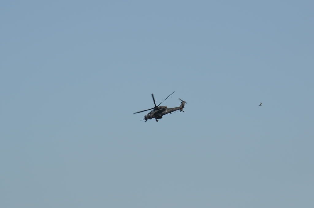 DSC_0482.jpg