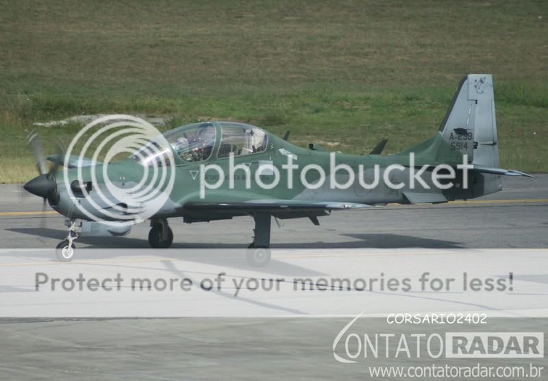 4303copy.jpg