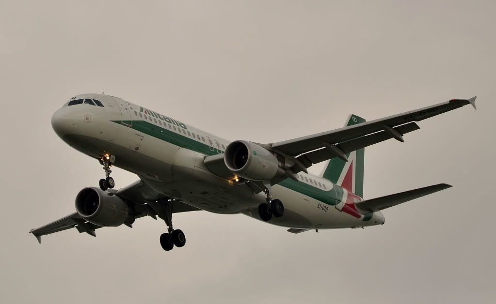 DSC_7558.jpg
