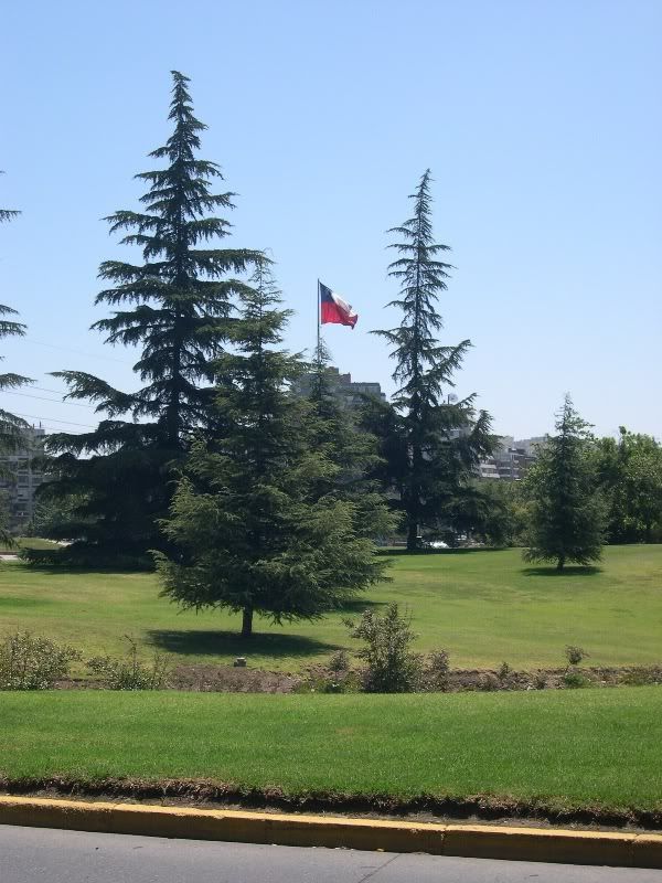 DSCN2826.jpg