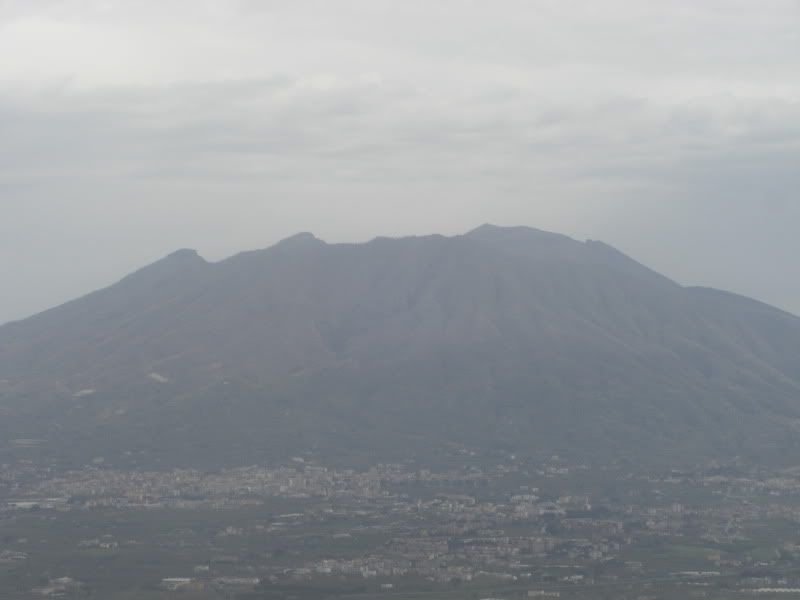 CIMG8398.jpg