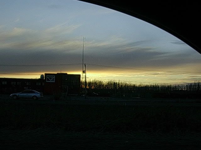 DSCN8983.jpg
