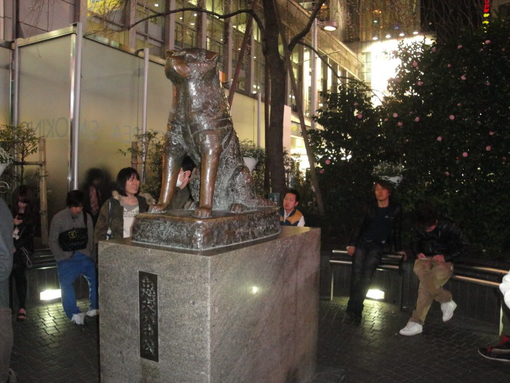 DSC01762.jpg