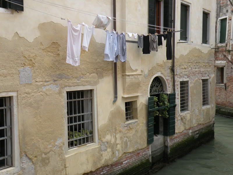 DSCN8562.jpg