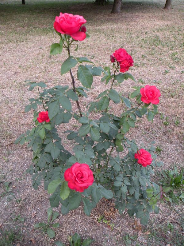 DSCN8834.jpg