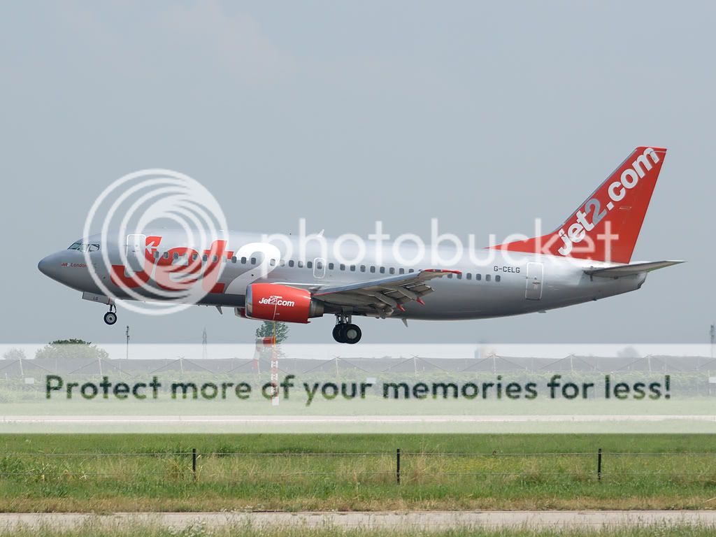 g-celg.jpg