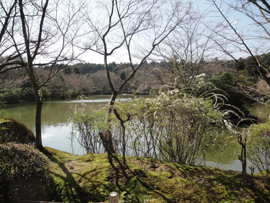 DSC01522.jpg
