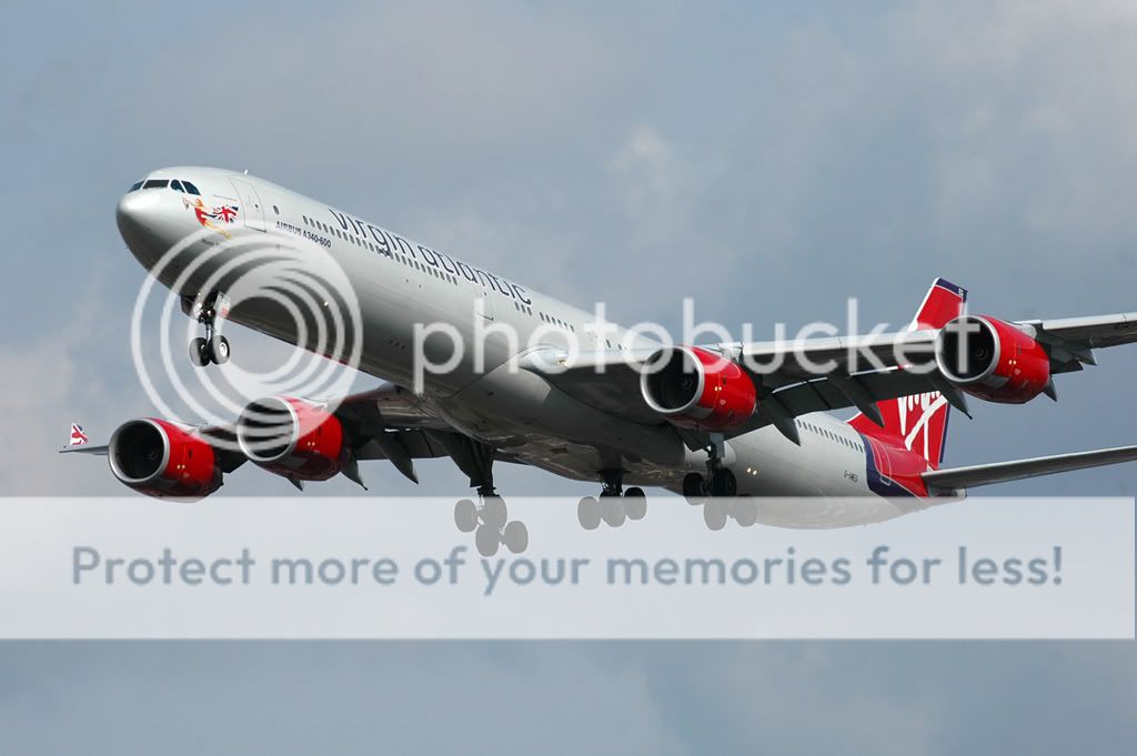 DSC_4519.jpg