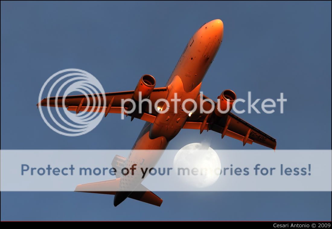 ec-kdg__bibbi.jpg