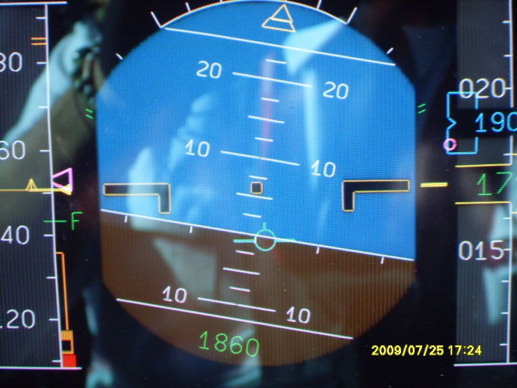 SDC10917.jpg