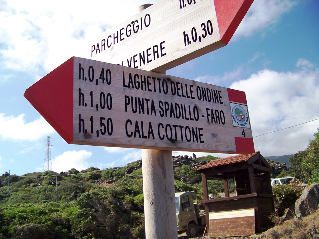 3750591800_06d9cdaa84_o.jpg